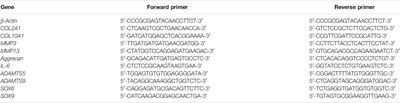 Intra-Articular Injection of Adipose-Derived Stem Cells Ameliorates Pain and Cartilage Anabolism/Catabolism in Osteoarthritis: Preclinical and Clinical Evidences